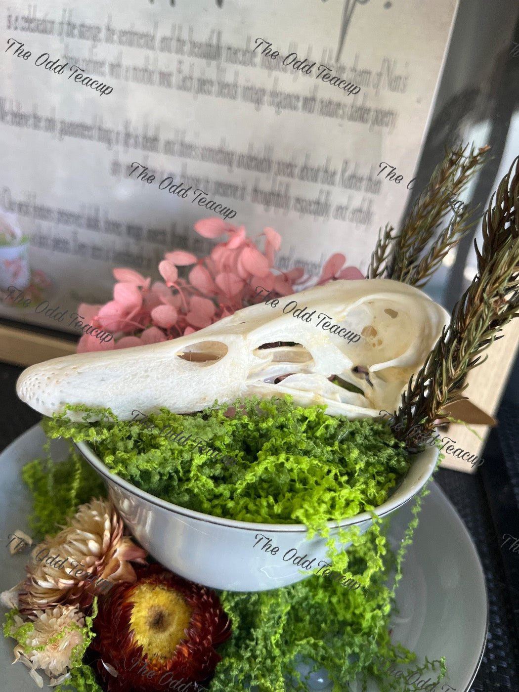 Mallard Duck Skull Teacup.