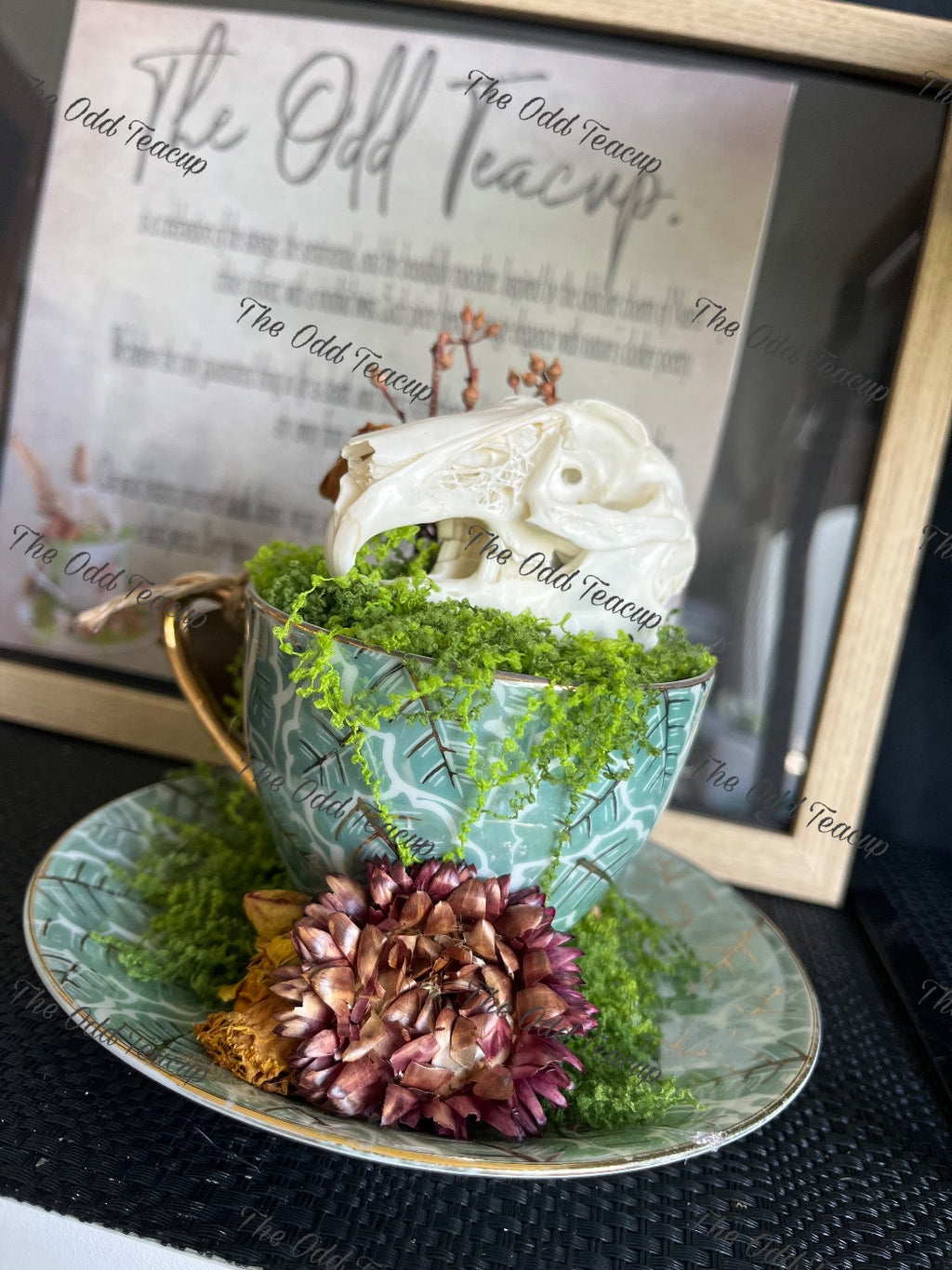 Rabbit Skull Teacup.