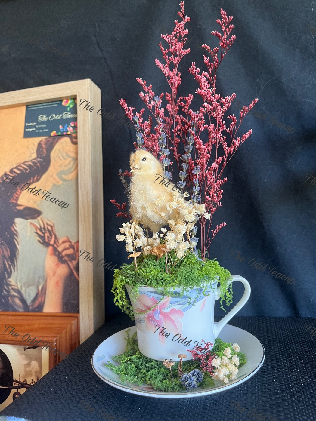 Chick Teacup.