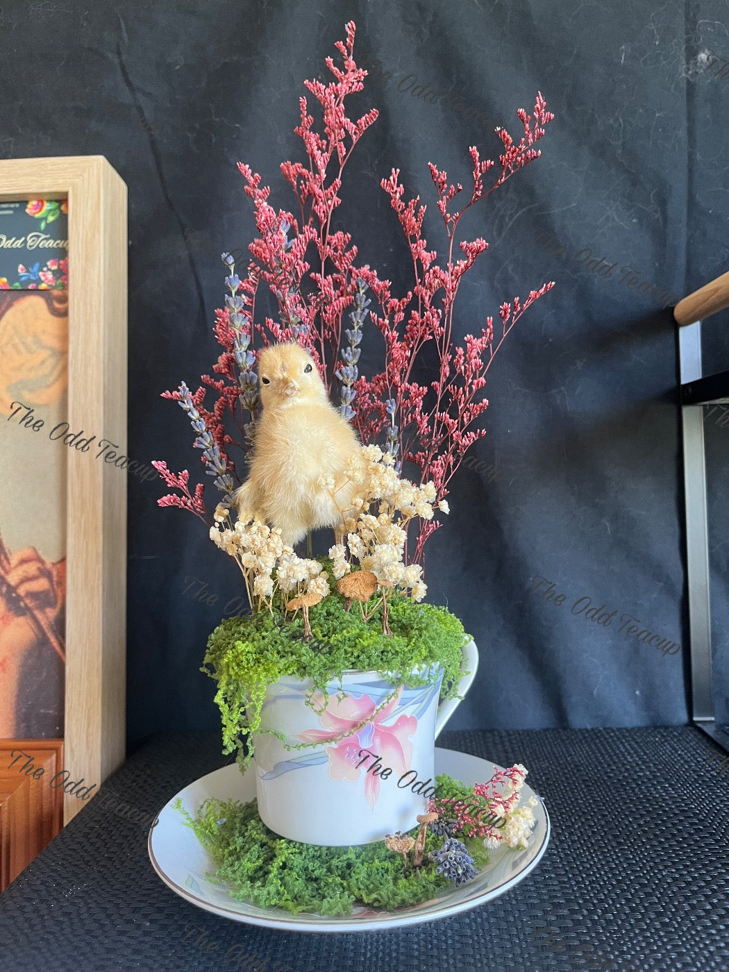Chick Teacup.