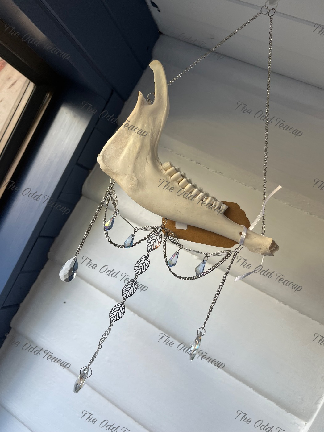 Sheep Mandible Suncatcher 2