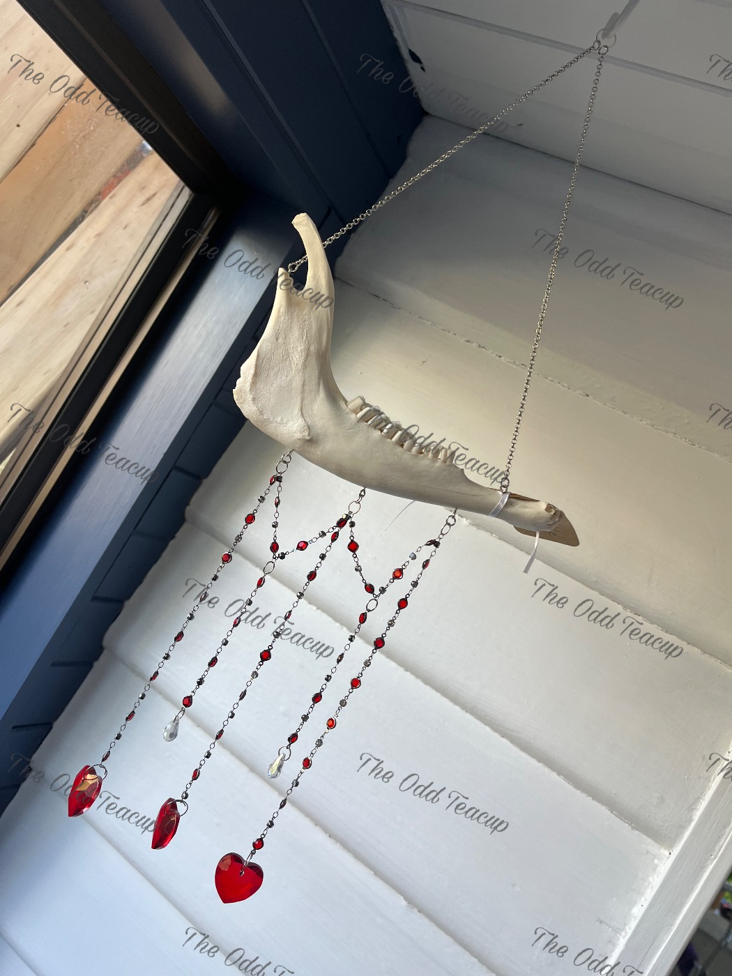 Sheep Mandible Suncatcher