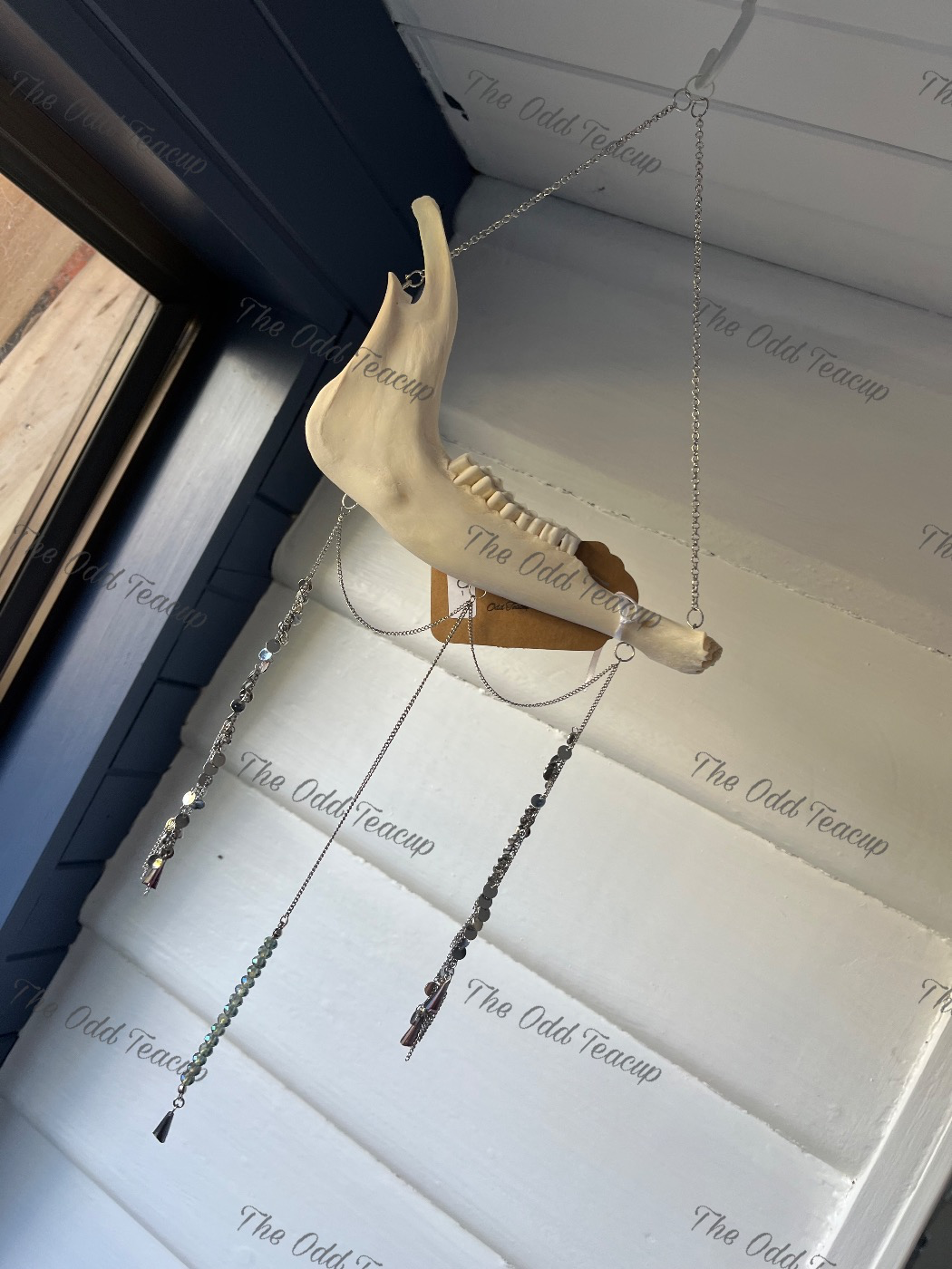 Sheep Mandible Suncatcher 3