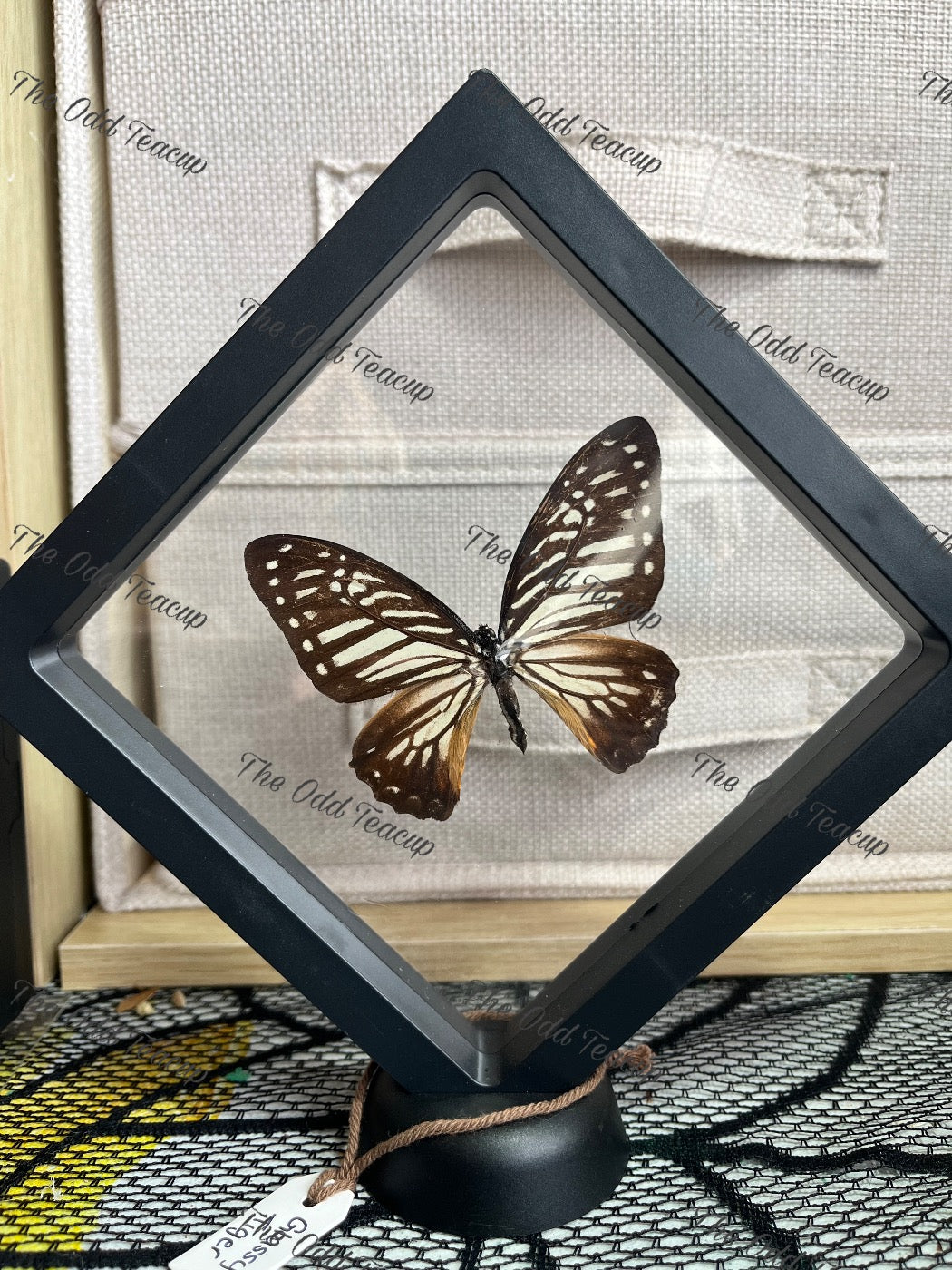 Glassy Tiger - L Case
