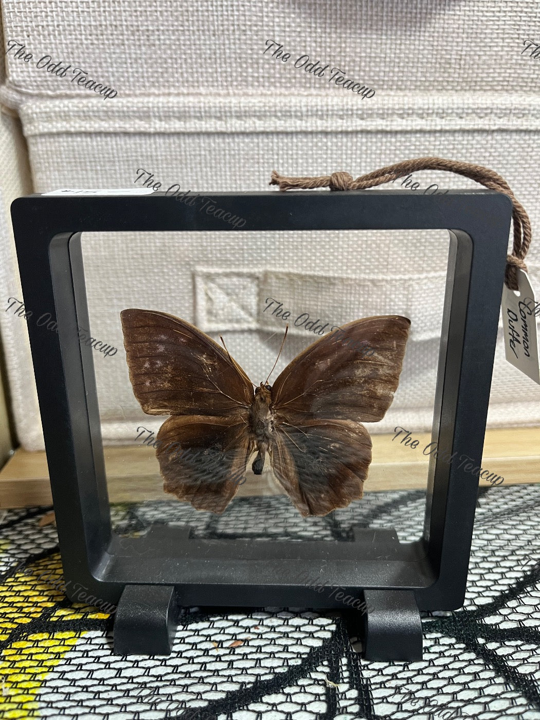 Common Duffer - M Case.