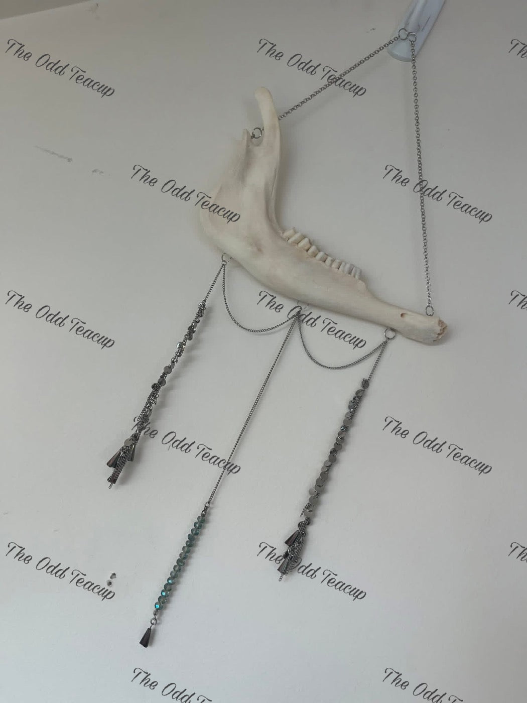 Sheep Mandible Suncatcher