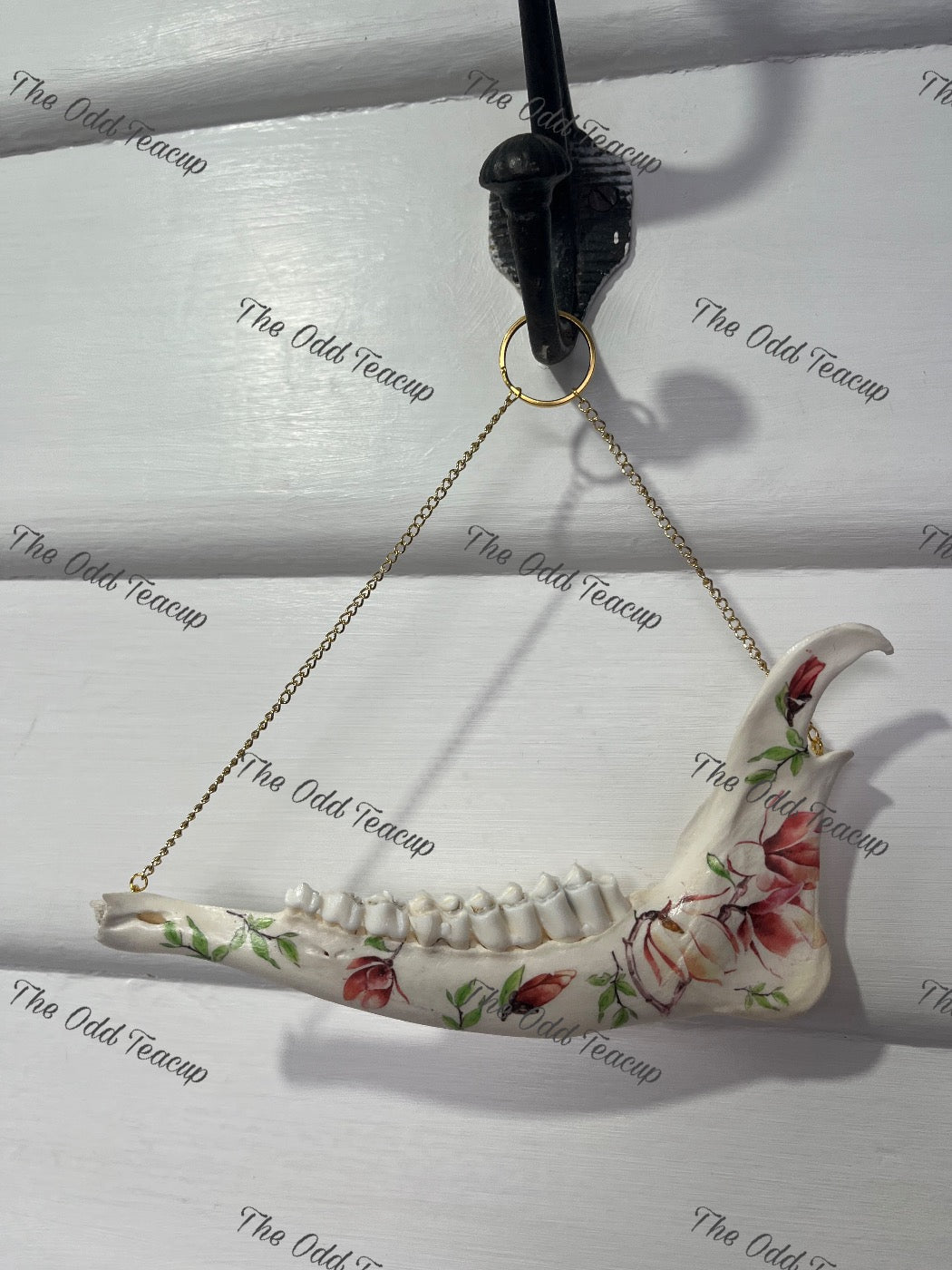 Floral Deer Mandible.