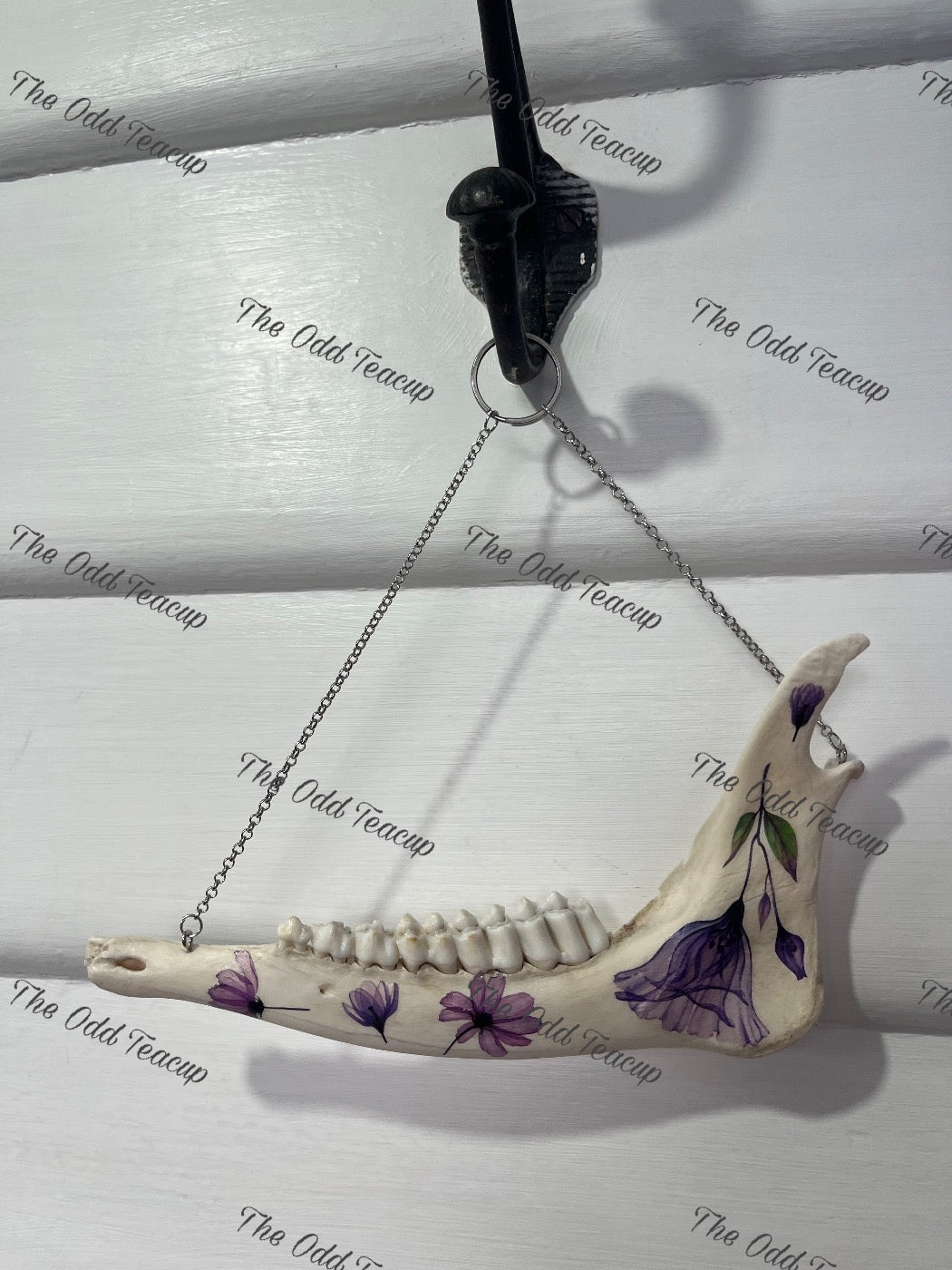 Floral Deer Mandible.