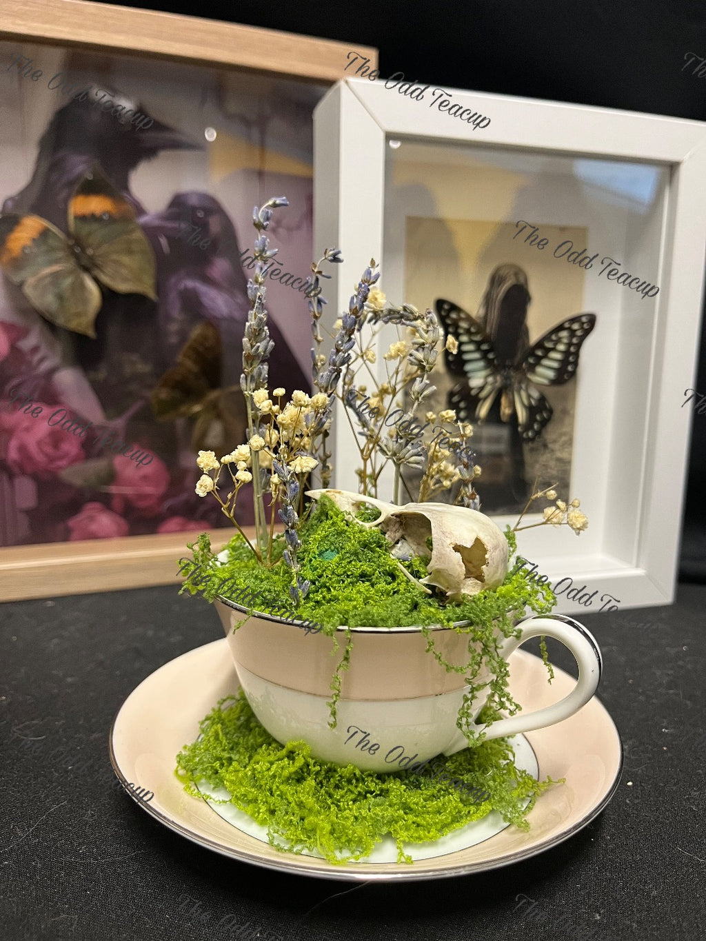 Eurasian Magpie Skull Teacup.