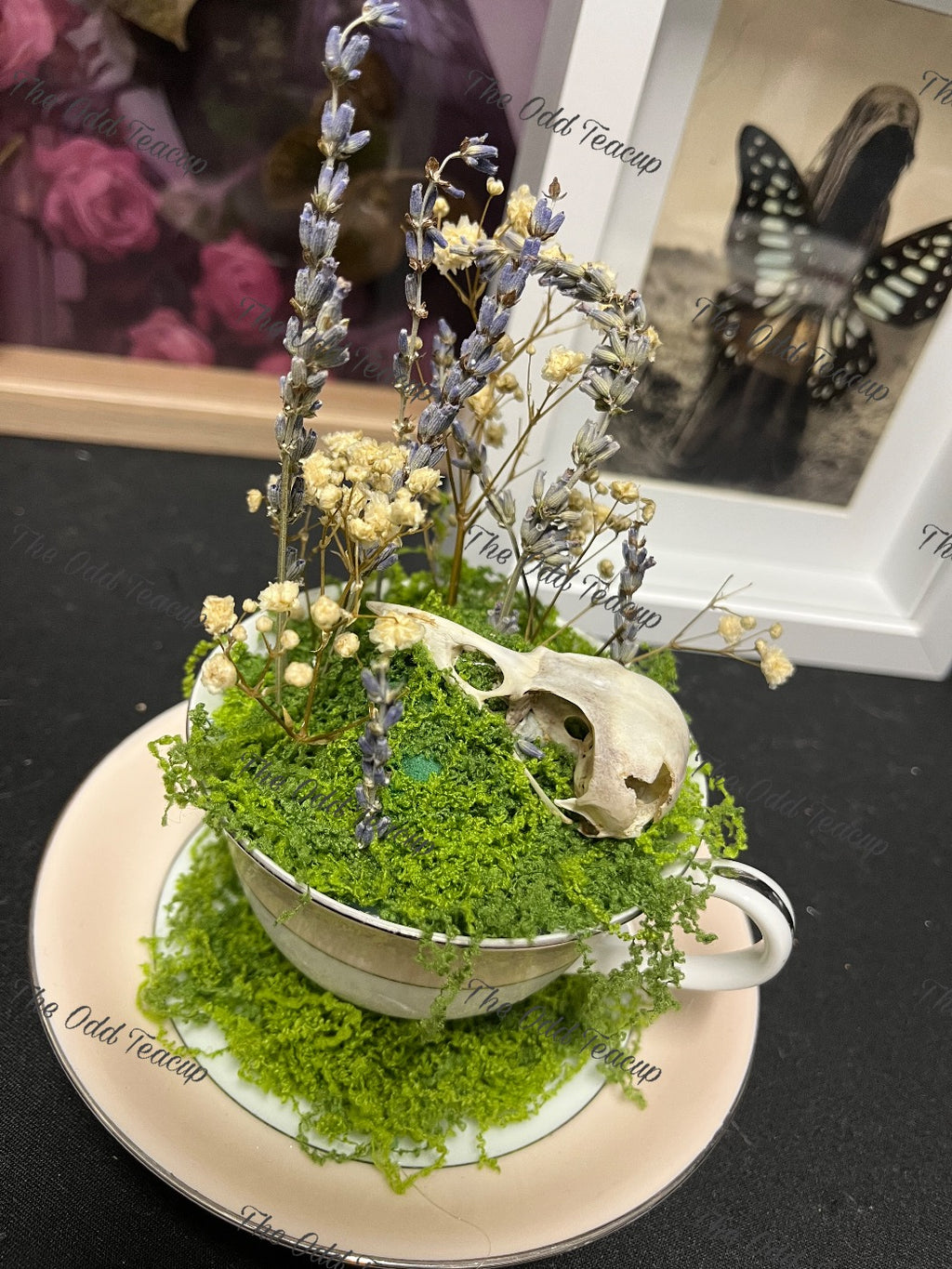 Eurasian Magpie Skull Teacup.